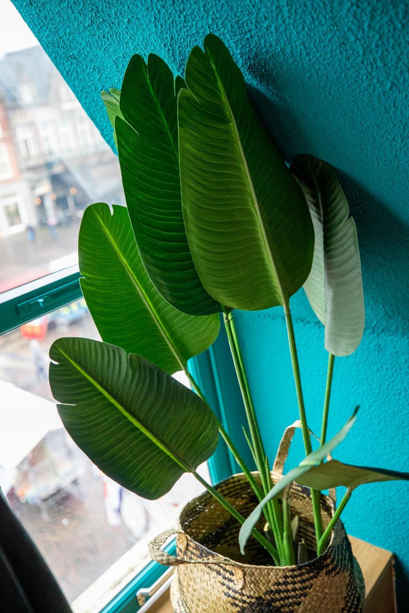 Bambu Sleep Boutique Hotel Haarlem Bilik gambar